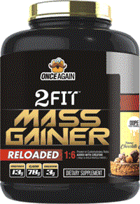2-FIT MASS GAINER